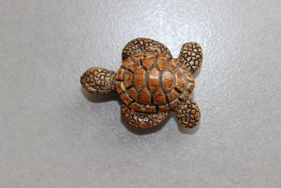 Bouton TORTUE